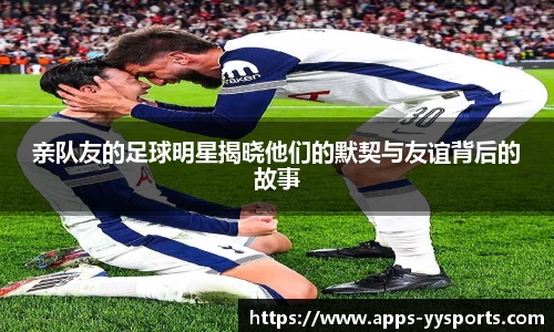 yy易游官网